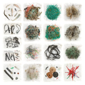 Bilan du tri d'un ramassage de déchets à Erdeven, Morbihan