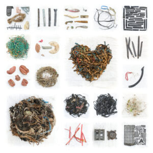 Bilan du tri d'un ramassage de déchets à Penestin, Morbihan