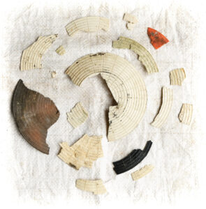 Assemblage de déchets ostréicoles issus de nettoyage de plage