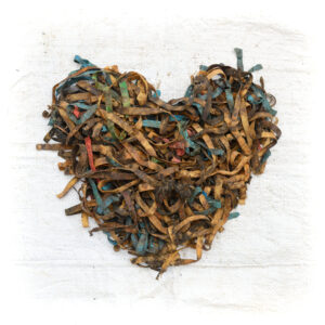 Assemblage de déchets du littoral issus de nettoyage de plage